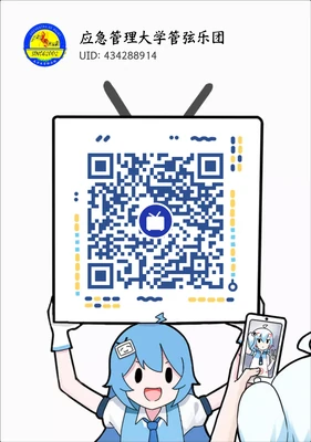 B站
